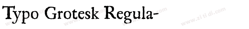 Typo Grotesk Regula字体转换